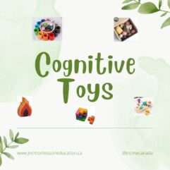 COGNITIVE TOYS