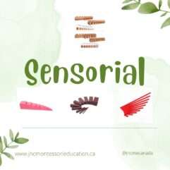 SENSORIAL